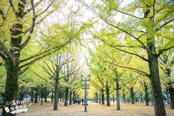 ▲▼九州親子景點，熊本縣廳海賊王魯夫雕像，熊本最美銀杏步道隱藏金色魯夫雕像。（圖／滿分提供）