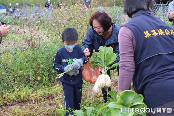 ▲集集鎮公所辦理食農教育拔蘿蔔活動。（圖／集集鎮公所提供）