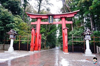 被譽為「全日本最靈驗」的結緣神社！