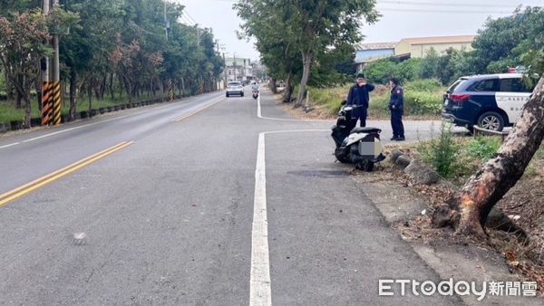 ▲▼野狗竄馬路。（圖／記者許宥孺翻攝）