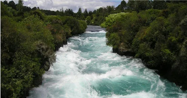 （示意圖／翻攝自pexels）