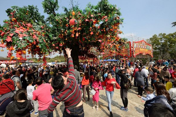 ▲香港各大人氣寺廟和年節活動。（圖／港旅局提供）