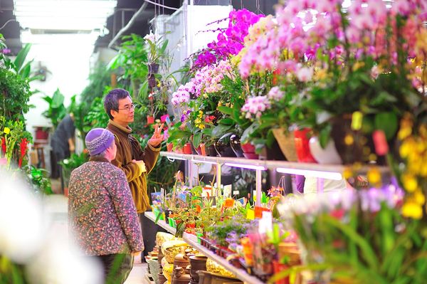 ▲香港各大人氣寺廟和年節活動。（圖／港旅局提供）