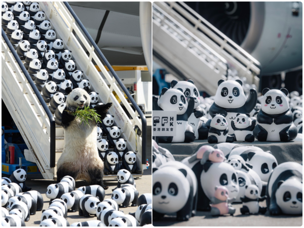 ▲全港最大型的熊貓展覽《PANDA GO！香港遊》12月開跑。（圖／AllRightsReserved提供）