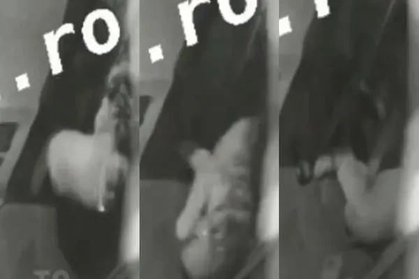 ▲▼老虎發狂「啃咬50秒」飼養員慘死。（圖／翻攝自X）