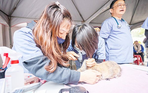 ▲桃園市南昌動物保護教育園區今天啟用，園區獸醫們提供毛小孩植入晶片等服務。（圖／桃園市農業局提供）