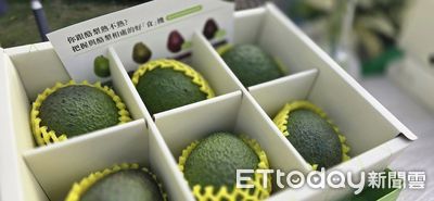 酪梨買太多怎麼辦？網友曝保存撇步　農業部也傳授「一好物」