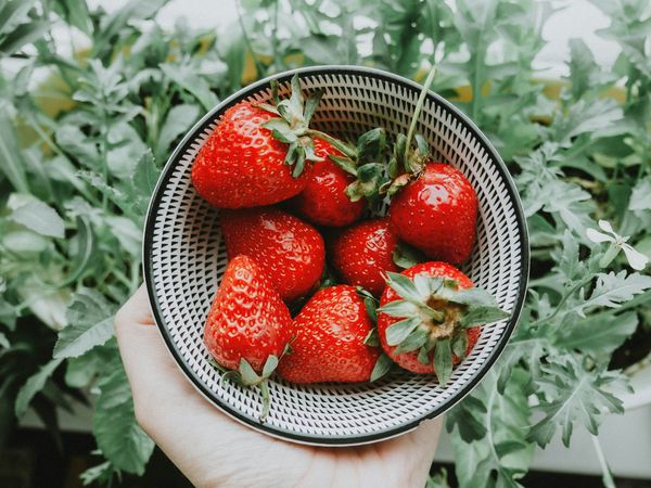 ▲▼營養師曝「紅色食物」能提高免疫力             。（圖／Unsplash）