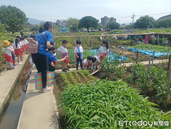 ▲▼   樂活農園位於二重疏洪道內，提供市民朋友體驗農作樂趣市民伯伯在農園裡開心種植  小朋友從中觀察到植物及耕田的樂趣        。（圖／新北市政府提供）