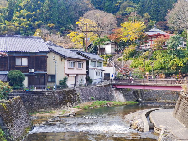 ▲▼98度湧泉的魅力！日本湯村的荒湯奇景。（圖／WISELY`S 拍拍照寫寫字提供）