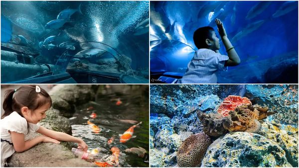 ▲▼泰國渡假全攻略！芭達雅32景點公開。（圖／混血珊莎的奇幻旅程提供）