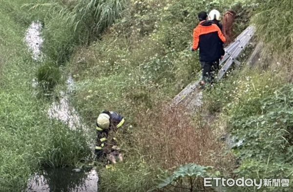 ▲彰化身障阿伯晨運尿急摔落大排水溝。（圖／記者唐詠絮翻攝）