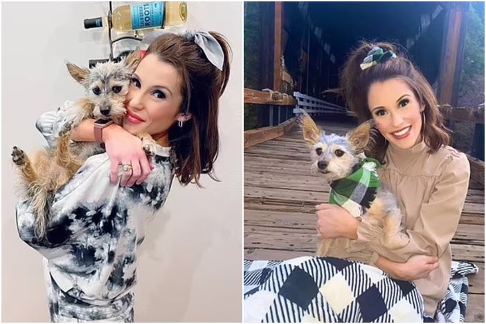 ▲▼             。（圖／翻攝自臉書）