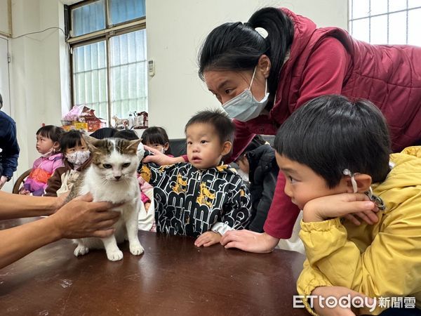 ▲「貓貓老師」桌上授課！小朋友坐一排好奇圍觀　生命教育向下扎根（圖／新北市動保處提供。）