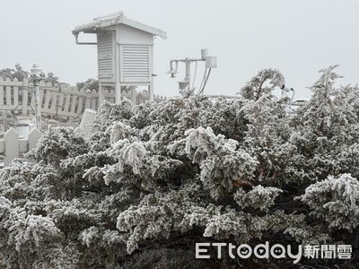 玉山零下4.1度現「雪白霧淞」　夢幻美景畫面曝