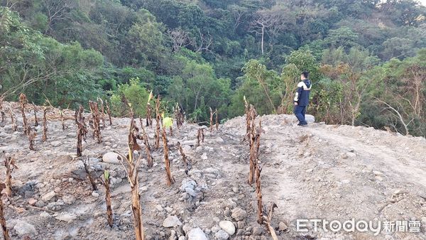 ▲苗栗縣西湖鄉偏僻山谷遭非法傾倒廢棄物，警方查獲2名砂石車駕駛，檢方向法院聲請羈押獲准。（圖／記者楊永盛翻攝）