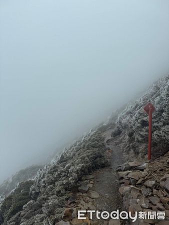 ▲圓峰往排雲山莊步道霧淞。（圖／山友提供）