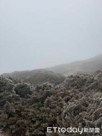 ▲圓峰營地霧淞。（圖／山友提供）