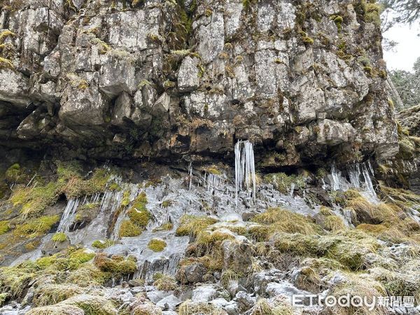 ▲雪霸國家公園高山陸續降下冰霰，雪霸處呼籲登山要注意保暖和安全措施。（圖／雪霸國家公園管理處提供）