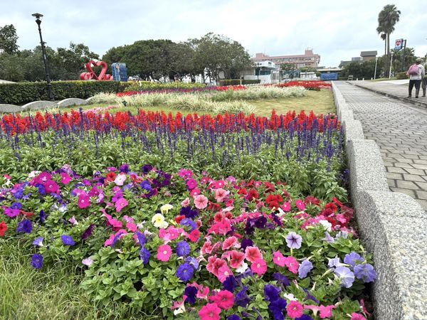 ▲新北市景觀處以矮牽牛、一串紅、海棠、鼠尾草等花草，拼湊出螃蟹圖樣的花海，位置就在淡水漁人碼頭情人橋旁。（圖／新北市景觀處）