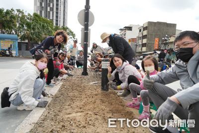 展現靱性重生！花蓮日出大道栽種5千顆風雨蘭　期待明年花盛開