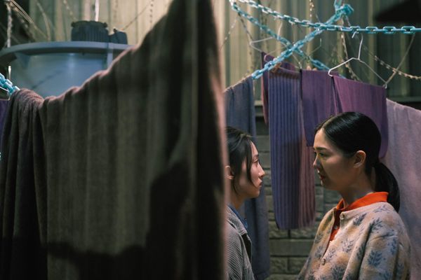 ▲《樹冠羞避》韓寧、黃可欣。（圖／公視提供）