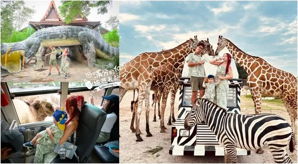 ▲▼泰國長頸鹿吉普車拍照預約攻略，駱駝、梅花鹿和斑馬，外加欣賞大象＆鱷魚表演秀！（圖／部落客滿分提供）