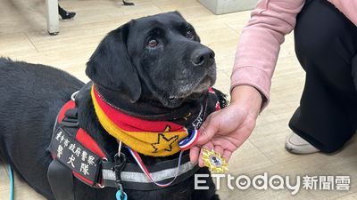 警犬巡邏變「貼紙收集冊」　50張勳章掛滿身超神氣