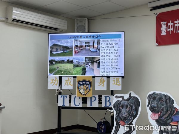 ▲台中4警犬卸下「警用胸背帶」退休！牠的新家有700坪草皮盡情跑跑。（圖／記者許權毅攝）