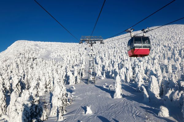 ▲藏王樹冰雪怪車,白川鄉點燈。（圖／晴天旅遊提供）