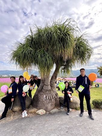 ▲天王任賢齊拍攝宣傳田中花海，小齊樹爆紅。（圖／翻攝自田中農會）