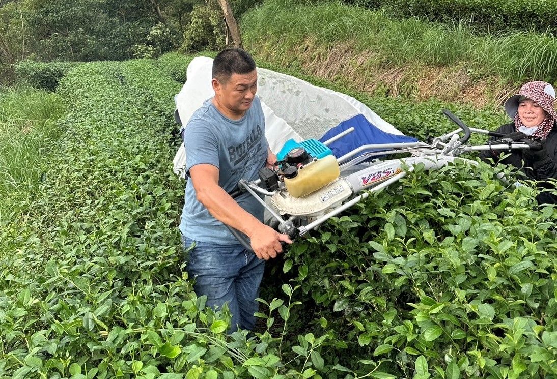 ▲新北茶農蔡旭志獲全國模範農民。（圖／新北市農業局提供）