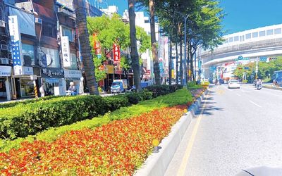 彩虹花海點亮板橋街頭　新北迎接2025喜氣洋洋