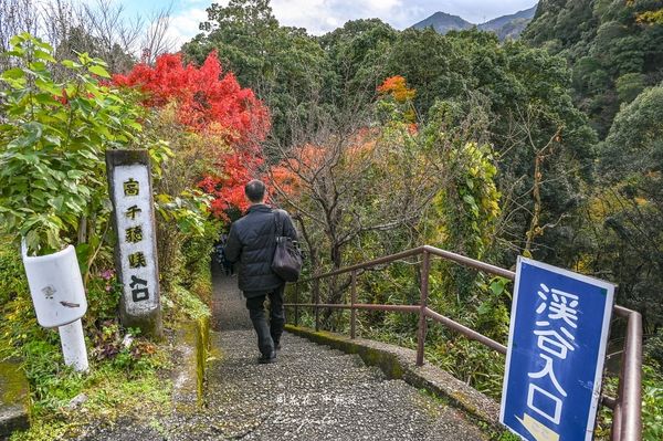 ▲▼超美宮崎秘境「高千穗峽」推薦！自由行交通攻略跟團一日遊行程規劃划船預約。（圖／部落客周花花提供）