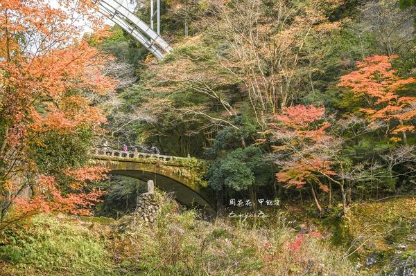 ▲▼超美宮崎秘境「高千穗峽」推薦！自由行交通攻略跟團一日遊行程規劃划船預約。（圖／部落客周花花提供）