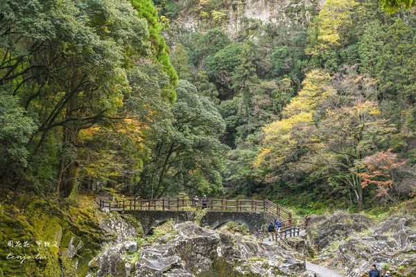 ▲▼超美宮崎秘境「高千穗峽」推薦！自由行交通攻略跟團一日遊行程規劃划船預約。（圖／部落客周花花提供）