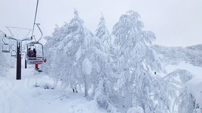 藏王滑雪場秘境！搭纜車或滑雪才能到