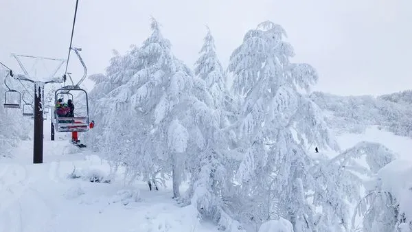 ▲▼以木屋建築、壁爐、巨無霸牛排和雪地景觀交織而成的溫馨庇護所。（圖／部落客CJ夫人提供）