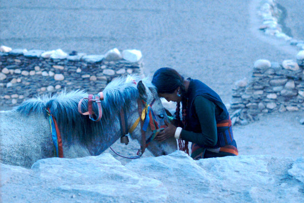 ▲《香巴拉》廷妮拉姆在片中高海拔騎馬，更苦練藏語方言、學習編織手藝。（圖／海鵬提供）