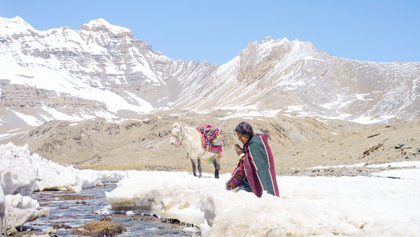 ▲《香巴拉》廷妮拉姆在片中高海拔騎馬，更苦練藏語方言、學習編織手藝。（圖／海鵬提供）