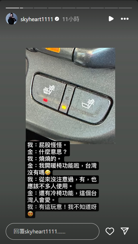 ▲▼天心搭韓國尪車「突覺屁股怪怪」：台灣人會愛。（圖／翻攝自Instagram／skyheart1111）