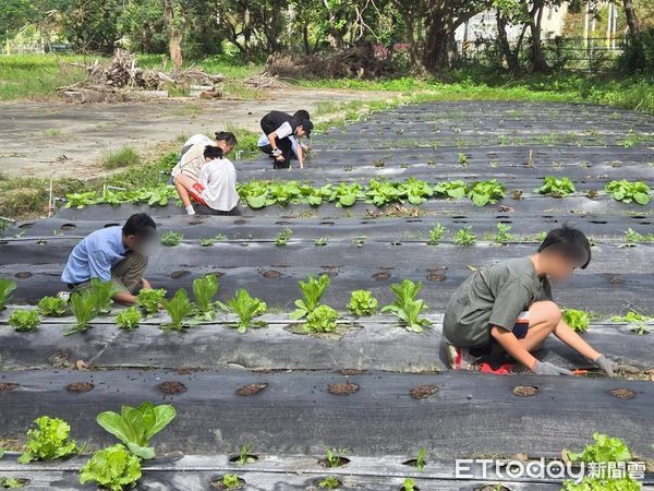 ▲拓寬工程將20棵老樹移植至少年之家園區。（圖／芥菜種會提供，下同）