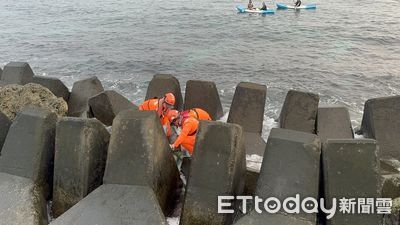 綠蠵龜受困小琉球消波塊　海巡銳眼發現協助回大海