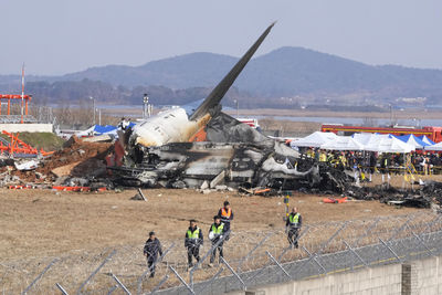 國籍機師：「鳥擊」是影響飛安主因