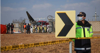 現場都是屍體！南韓墜機179人恐全罹難　6年623起「鳥擊」航空事故