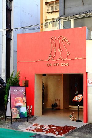 ▲▼OH MY ZOO寵物咖啡廳。（圖／萍子授權提供）