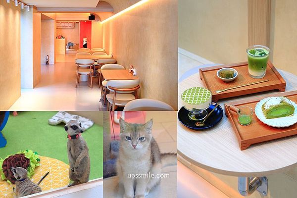 ▲▼OH MY ZOO寵物咖啡廳。（圖／萍子授權提供）