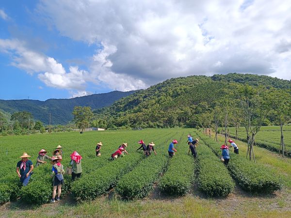 ▲▼花間茶語 小農驛站。（圖／晶泉丰旅提供）