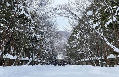 細數雪國美好日常！北海道自由行必訪