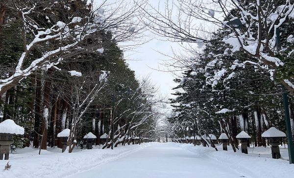 ▲▼北海道札幌。（圖／CJ夫人授權提供）